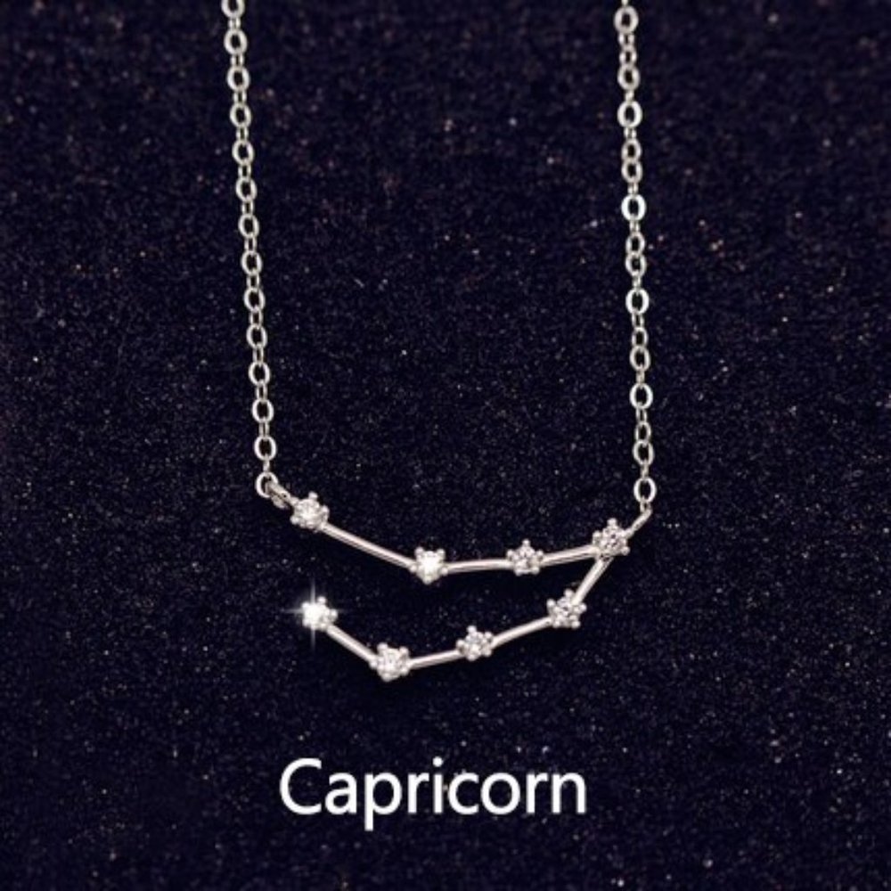 NEW Silver Zodiac Necklace -Capricorn - Picture 1 of 2
